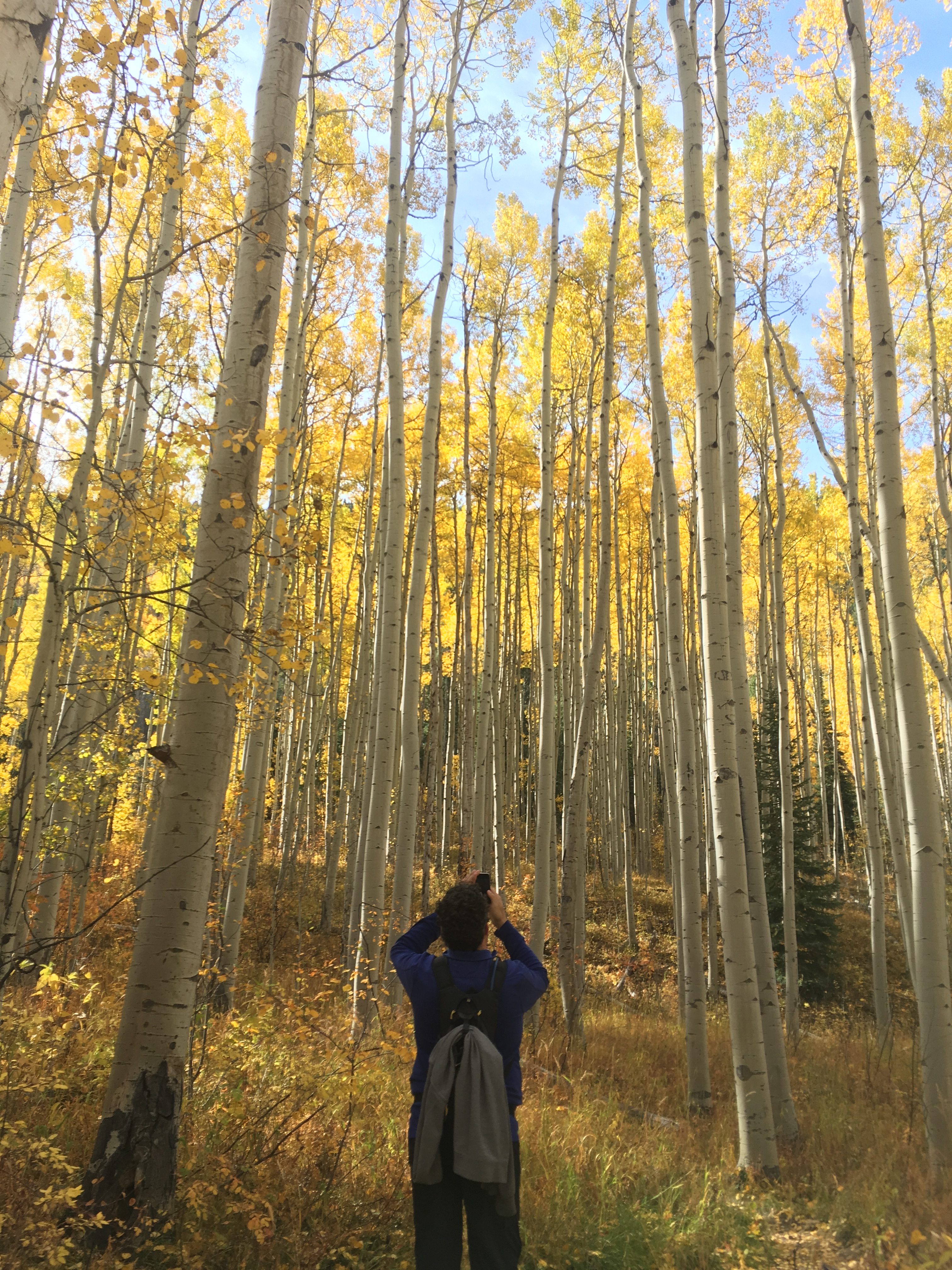 Fall Colors In Aspen – Saving Memories By Making Memories